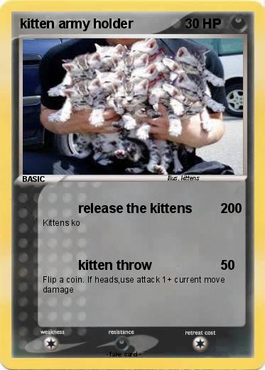 Pokemon kitten army holder