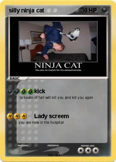 Pokemon silly ninja cat