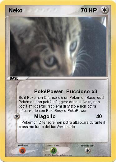 Pokemon Neko