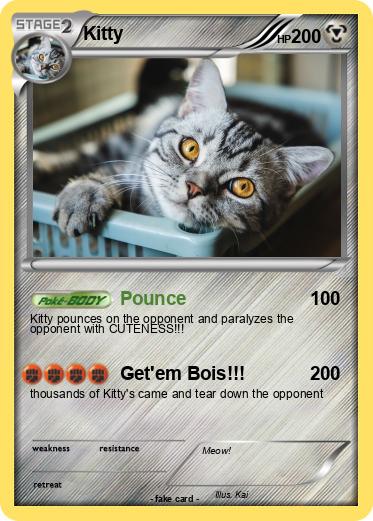 Pokemon Kitty