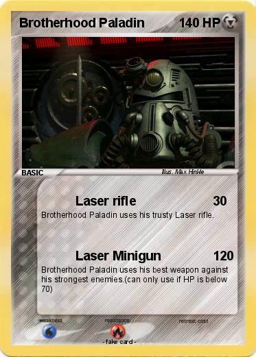 Pokemon Brotherhood Paladin