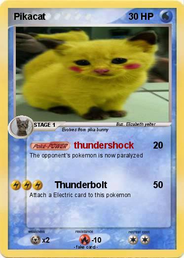 Pokemon Pikacat