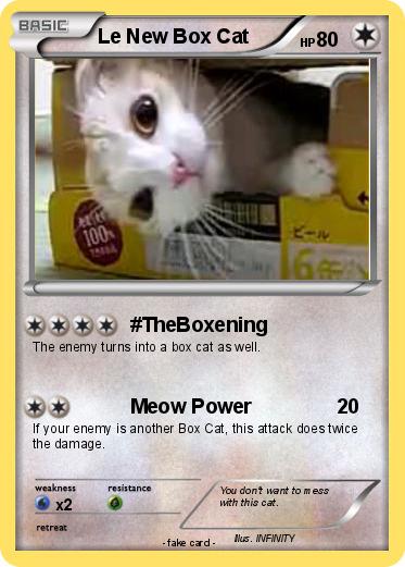 Pokemon Le New Box Cat