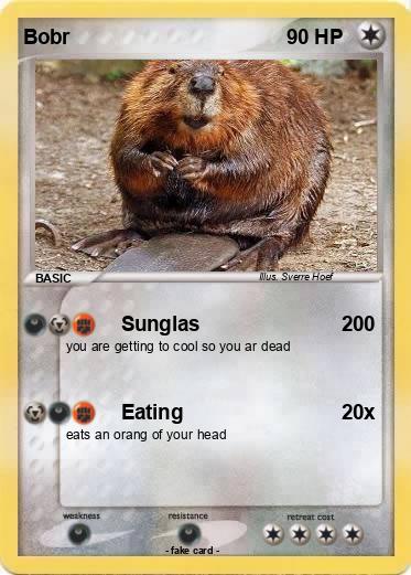 Pokemon Bobr