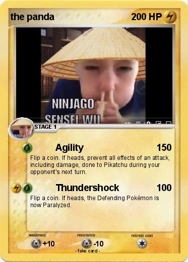 Pokemon the panda
