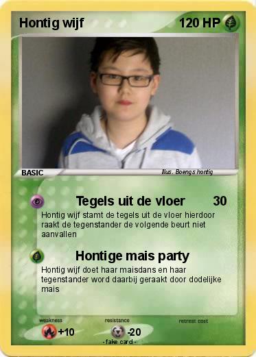 Pokemon Hontig wijf