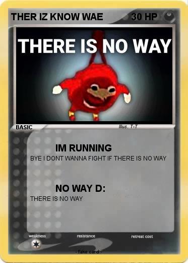 Pokemon THER IZ KNOW WAE
