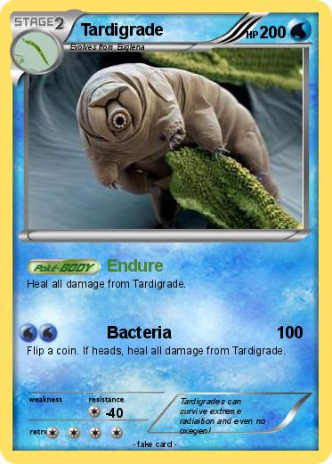 Pokemon Tardigrade