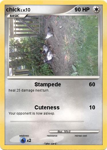 Pokemon chick