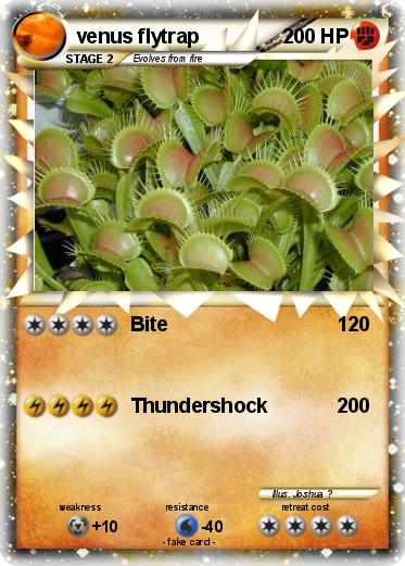 Pokemon venus flytrap