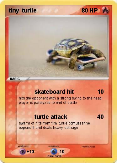 Pokemon tiny  turtle