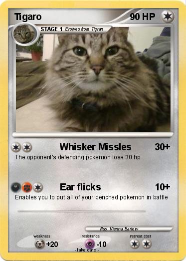 Pokemon Tigaro