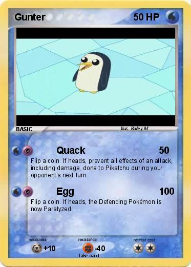 Pokemon Gunter