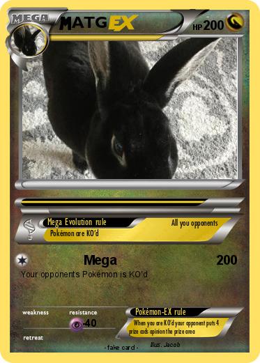 Pokemon ATG