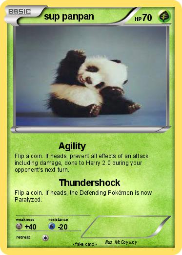 Pokemon sup panpan