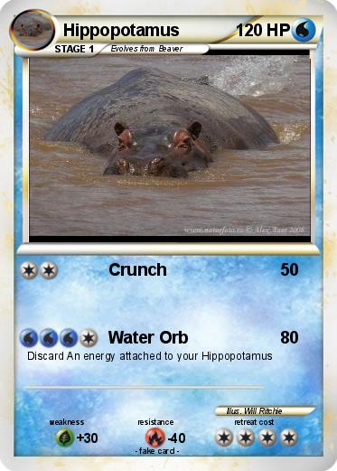 Pokemon Hippopotamus