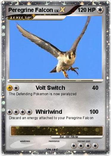Pokemon Peregrine Falcon
