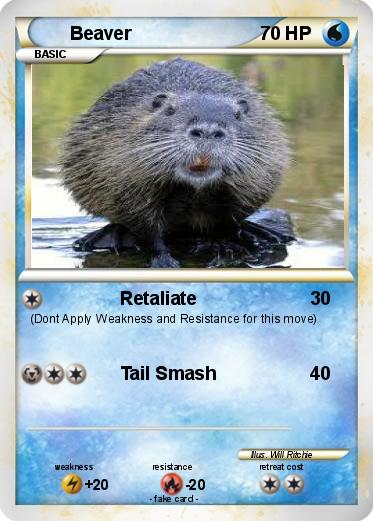 Pokemon Beaver