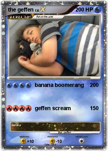Pokemon the geffen