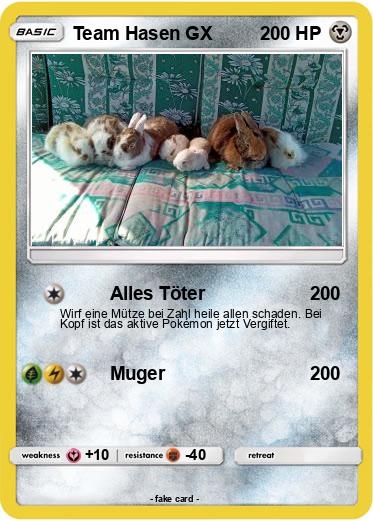 Pokemon Team Hasen GX