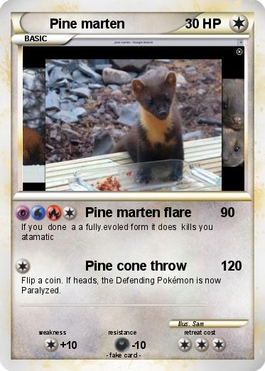 Pokemon Pine marten