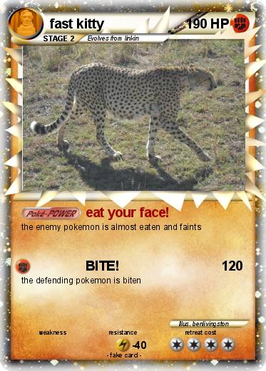 Pokemon fast kitty