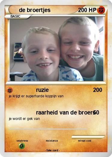 Pokemon de broertjes