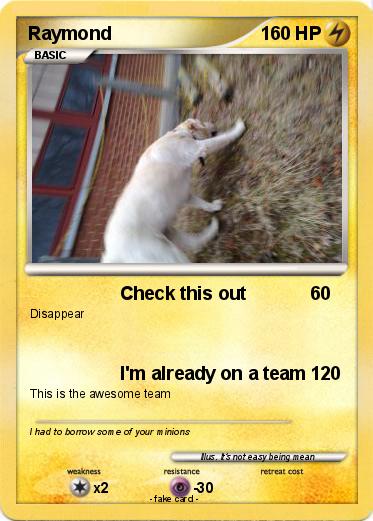Pokemon Raymond
