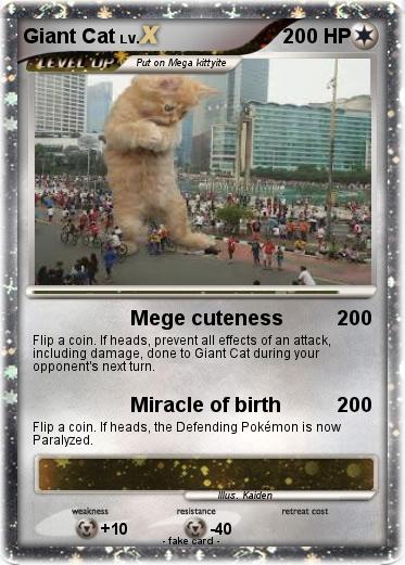 Pokemon Giant Cat