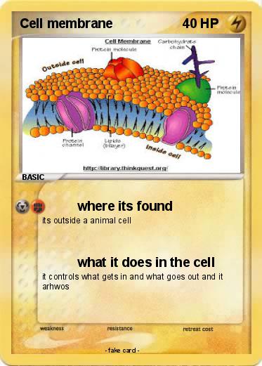 Pokemon Cell membrane