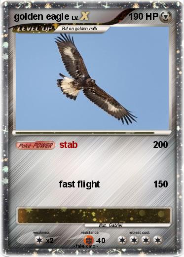 Pokemon golden eagle