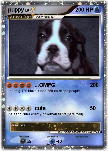 Pokemon puppy Pokemon puppy
