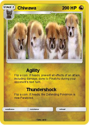Pokemon Chiwawa