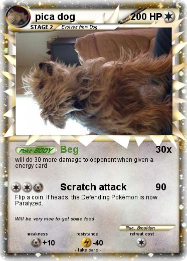 Pokemon pica dog