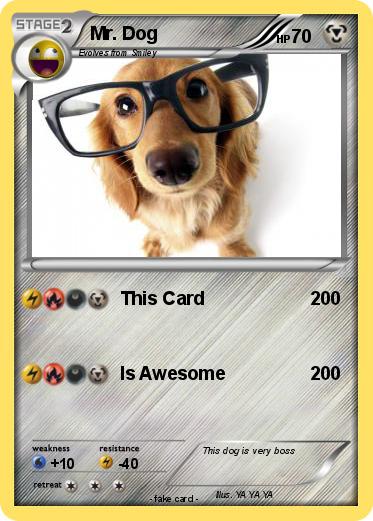 Pokemon Mr. Dog