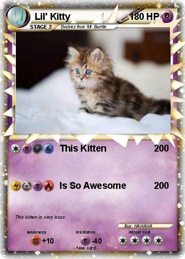 Pokemon Lil' Kitty