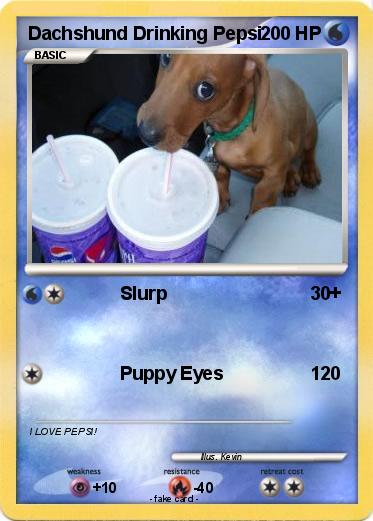Pokemon Dachshund Drinking Pepsi