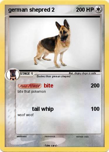 Pokemon german shepred 2