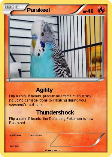 Pokemon Parakeet