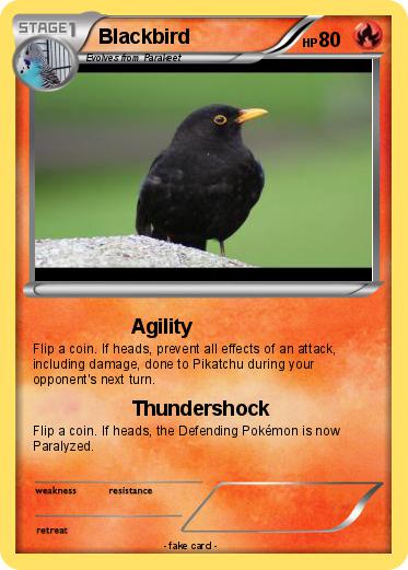 Pokemon Blackbird
