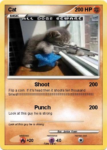 Pokemon Cat