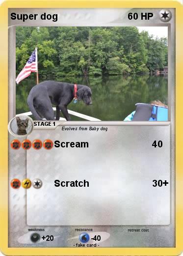 Pokemon Super dog