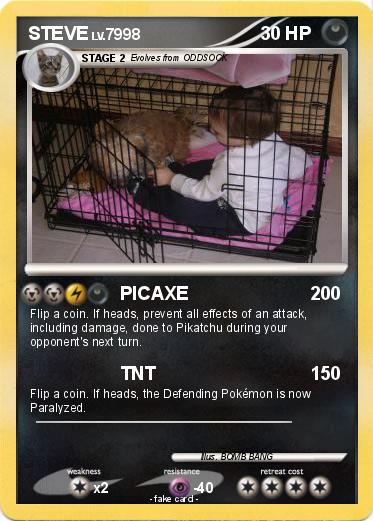 Pokemon STEVE