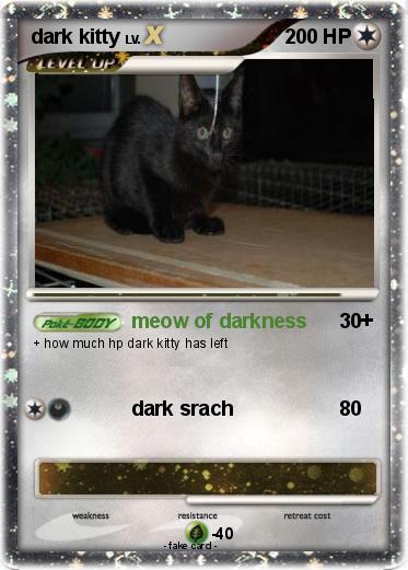 Pokemon dark kitty