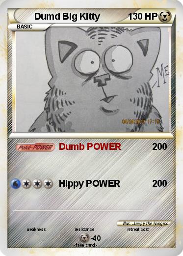 Pokemon Dumd Big Kitty