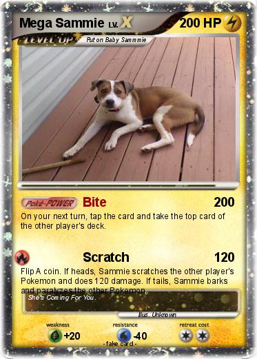 Pokemon Mega Sammie