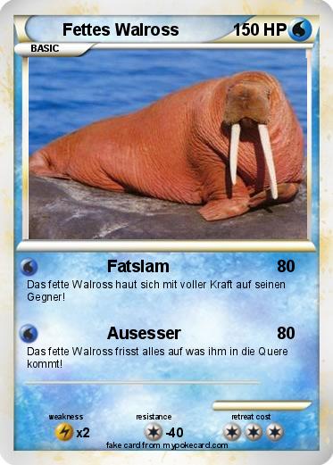Pokemon Fettes Walross