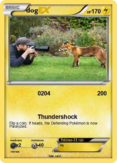 Pokemon dog
