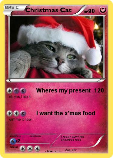 Pokemon Christmas Cat