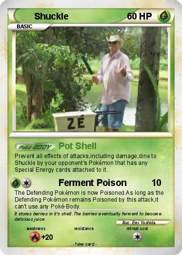 Pokemon Shuckle
